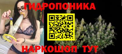 ALPHA PVP Можга